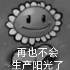 京城小仙z